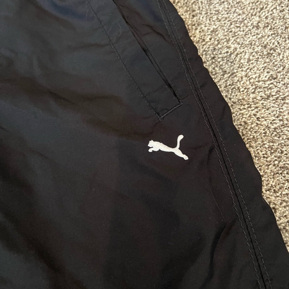 Puma capris - Picture 3 of 9